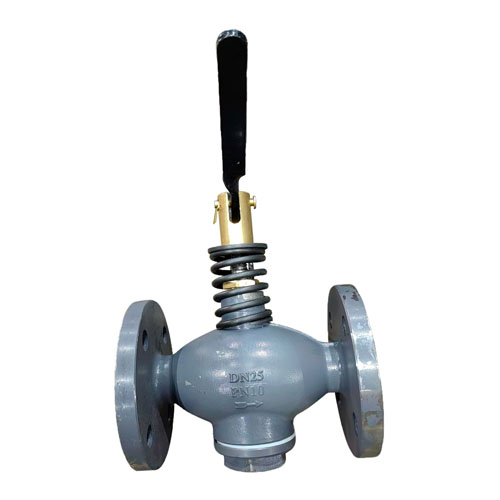 CBT601 DN40 Self Closing Valve